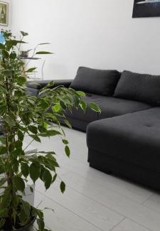 Chiajna Apartment | Luxury 2 Rooms Free Parking Air Conditioning Espresso Netflix Superb Modern Bright View Balcony Self Check in Militari