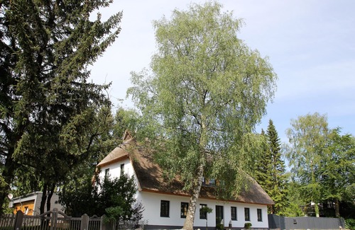 Ulstrupfeld House | Luxury Baltic Sea vacation home with pool Lucky Castle in Glücksburg (Baltic Sea)