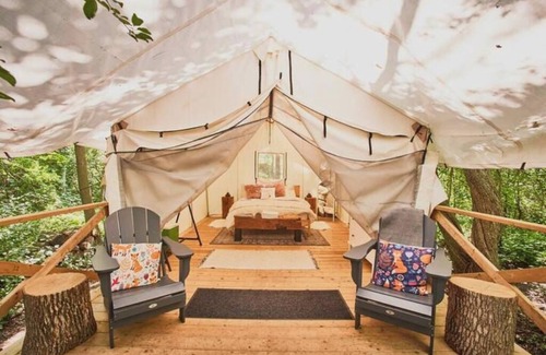 Elora Cabin | Luxury Glamping on Elora Flower Farm - Fox