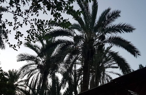 Tozeur Apartment | Luxury studio with panoramic views