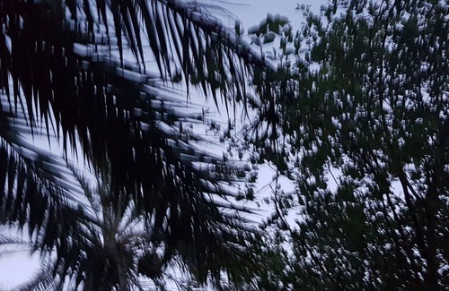 Tozeur Apartment | Luxury studio with panoramic views