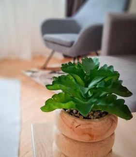 Dunaujvaros Apartment | Május 1 apartman