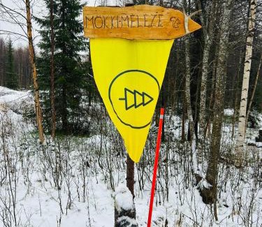 Rauhala Ski Chalet | "Mökki-Mélèze" chalet in Pallas-Yllastunturi, Levi