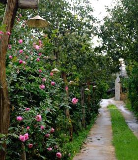 Da Lat Cabin | Mộc Trà Farm