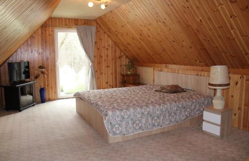 Alytus county Apartment | Mažasis SPA