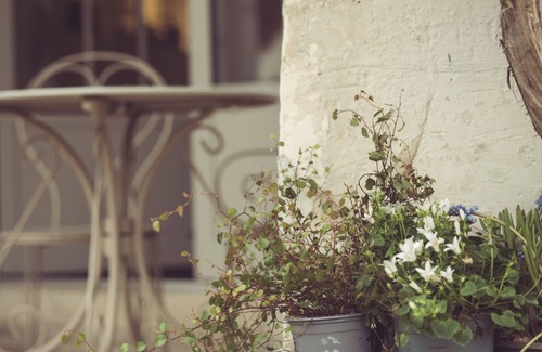 Chablis Cottage | Maison d'hôtes au pied du Bief au coeur de Chablis