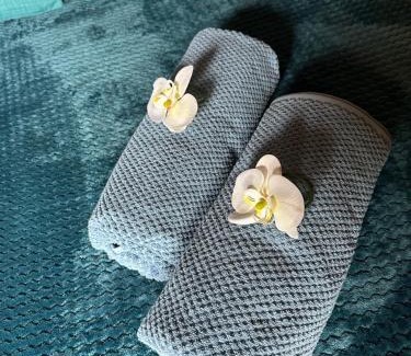 Lege-Cap-Ferret Bed & Breakfast | Maison de Lege