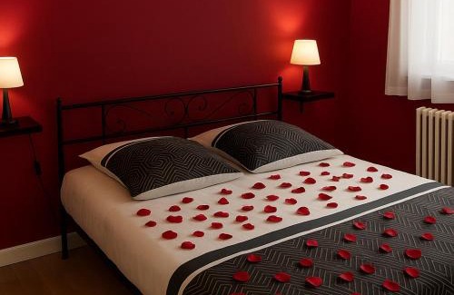 Selles-sur-Cher Apartment | Maison le " Ber-So " proche du Zoo Beauval