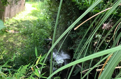 Coutances House | Maison Nichée Dans la Nature, Bordée dun Ruisseau et Proche du Centre Ville