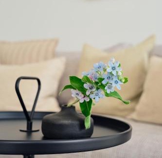 Zirchow Apartment | Maisonette-Apartment C11 "Pine Hill Resort" Zwei Balkone, zwei Terrassen