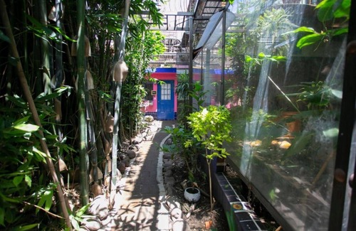 Cholula Apartment | Majikal BnB Martinlandia (Frida)