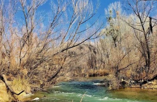 Camp Verde House | Making The Best Memories Along The Way! FREE Parking, Pool, Pets Allowed!