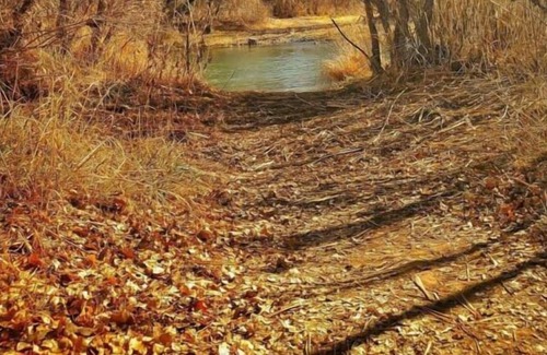 Camp Verde House | Making The Best Memories Along The Way! FREE Parking, Pool, Pets Allowed!