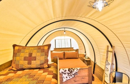 Camp Verde House | Making The Best Memories Along The Way! FREE Parking, Pool, Pets Allowed!