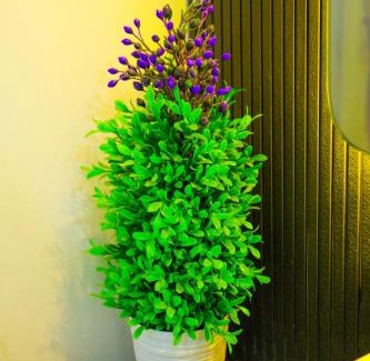 Ullal House | Maneva Comforts