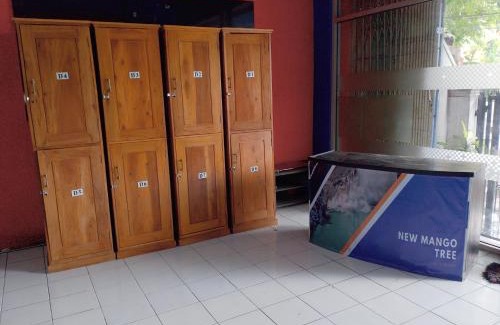 Banyuwangi House | Mango Tree Homestay & Ijen Tour