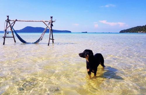 Koh Rong Sanloem Cabin | Mangrove Beach Bungalows