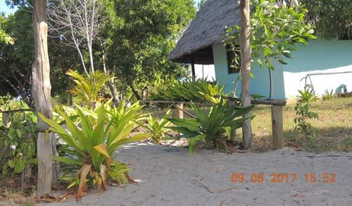 Mafia Island Bed & Breakfast | Mangrove Beach Bungalows