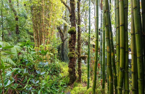 Royal Hawaiian Estates Cabin | Manini Hale: 5 Min to Volcano, Cozy A-Frame Cabin W/HOT TUB and INFRARED SAUNA