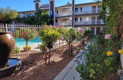 Las Vegas Apartment | Manor Suites