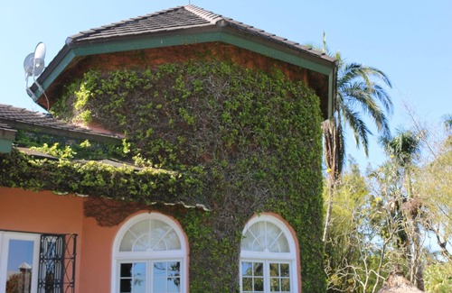 Homestead House | MANSION, short term rentals and events, perfect for weddings.