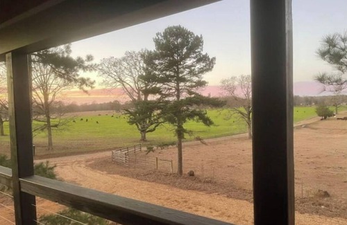 Magnolia Cabin | Mar I-Wilya Treehouse, 18ft off of the ground sits on 54 acres.