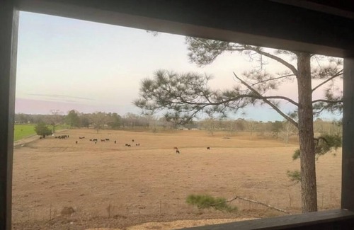 Magnolia Cabin | Mar I-Wilya Treehouse, 18ft off of the ground sits on 54 acres.