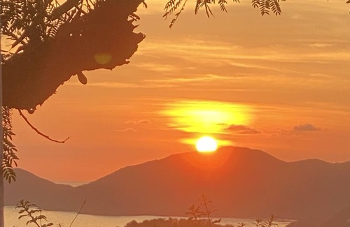 St. John's Apartment | Marble Hill-lovely Apartment Close to Everything!