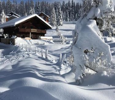 Albeck Ski Chalet | Marktlhütte