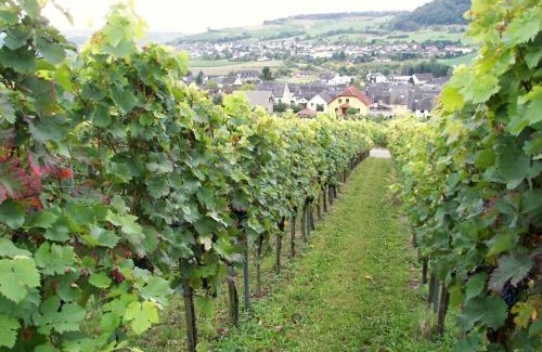 Osann House | Marmann - large holiday apartment