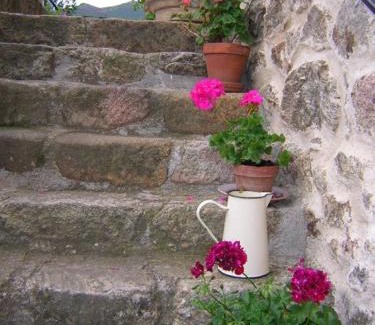 Thueyts Bed & Breakfast | Mas Casta Néa