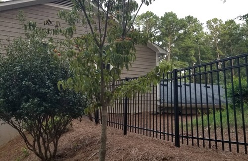 Evans House | Masters Rental central to Champions Retreat and August National, Sleeps 10