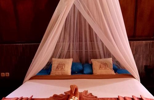 Gili Meno House | Meno Turtle BUNGALOWS
