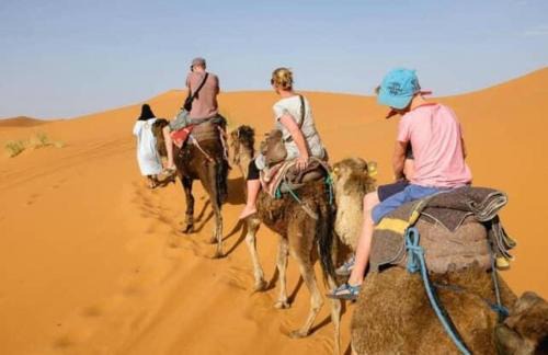M'Hamid El Ghizlane Hotel | Mhamid Amazing Camp
