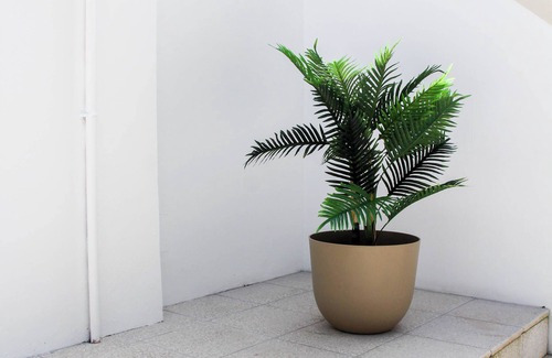 Se Nova Apartment | MiCasa Studios