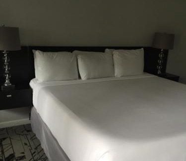 Mid-City Hotel | Midtown Hotel New Orleans