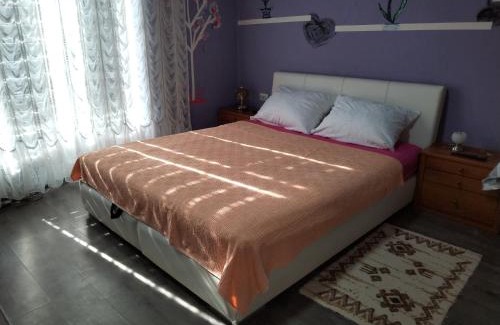 Central Serbia Apartment | Miladinović Bistrica