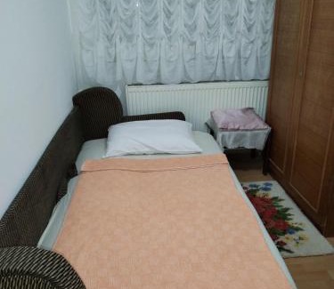 Central Serbia Apartment | Miladinović Bistrica