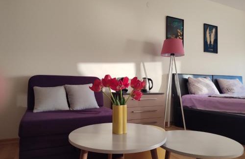 Ohrid Apartment | Million dollar lake view!