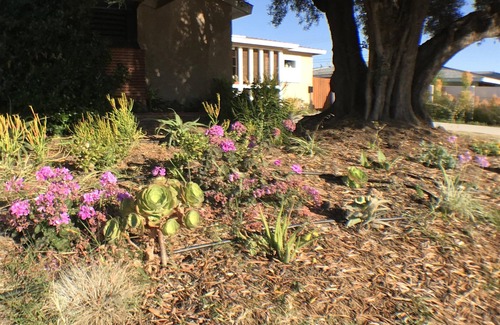 Fullerton House | Min 30 day Private Heated Pool, Safe Clean Family Home