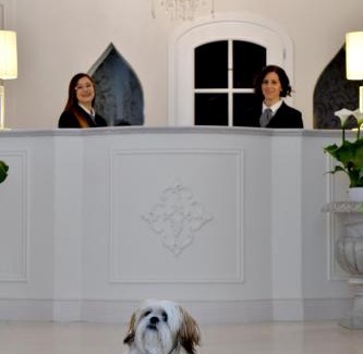 Minori Hotel | Minori Palace