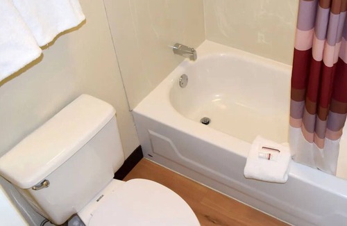 Bowmansville House | Minutes from Buffalo Niagara International Airport! Pets are Allowed for FREE!