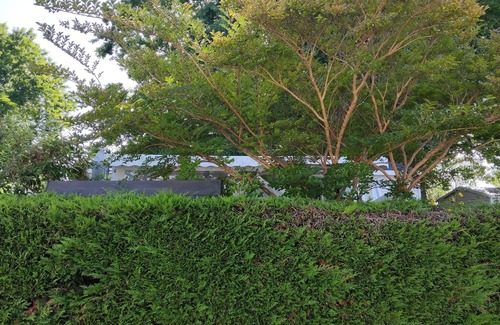 Aureilhan House | Mobile home in a shady campsite on the shores of Lake Aureilhan Camping Marvilla*