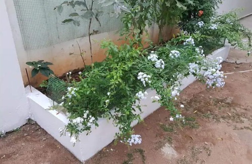 Kondapur House | Modern 2 BHK unit in the heart of Hyderabad cityn