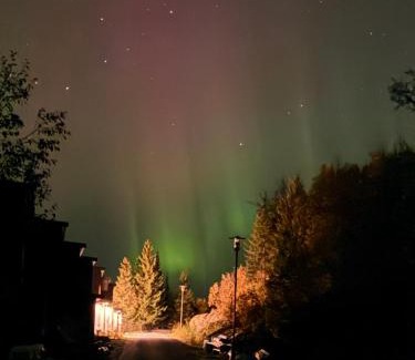 Laukeng House | Modern and cozy fjord view cabin