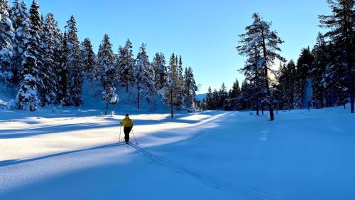 Rauland Apartment | Modern and cozy mountain cabin - panoramic view!