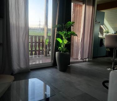 Hutschenhausen Apartment | Modern attic apartment with pool view AC and gym