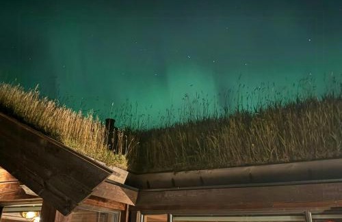 Al Municipality House | Modern Family Cabin Near Kikut In Geilo