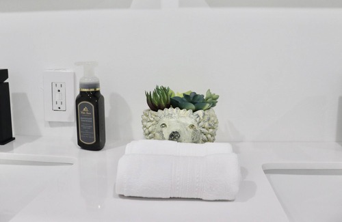 Richmond Heights Villa | modern house- 5 min from zoo