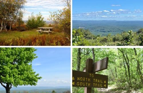 Tannersville House | Modern Mountain Chalet Ski, Hike, & Explore